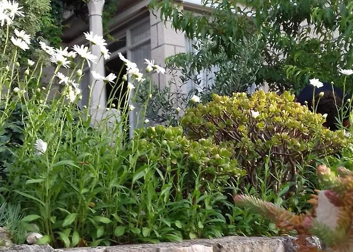 869-4 For 4 Pers In Apartament *